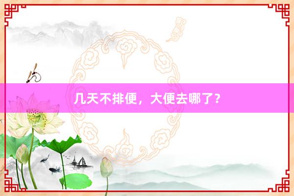 几天不排便，大便去哪了？