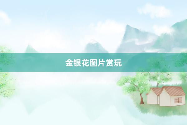 金银花图片赏玩