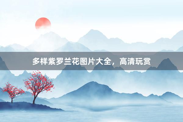 多样紫罗兰花图片大全，高清玩赏