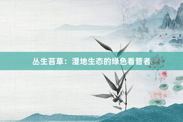丛生苔草：湿地生态的绿色看管者