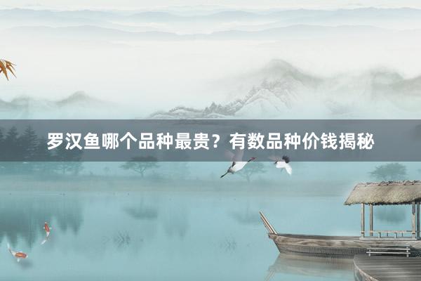 罗汉鱼哪个品种最贵？有数品种价钱揭秘