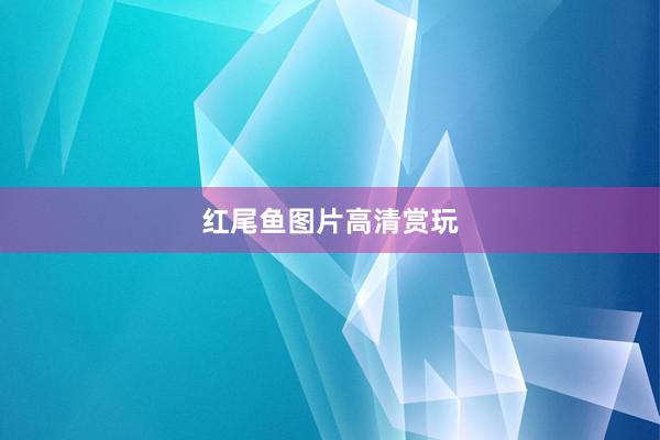 红尾鱼图片高清赏玩