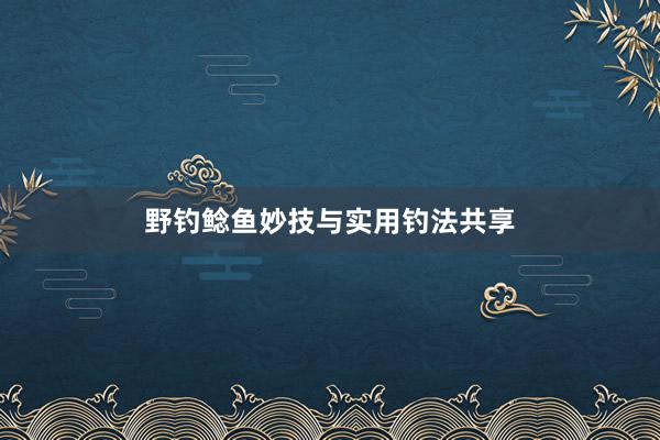 野钓鲶鱼妙技与实用钓法共享